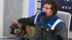 El Gobierno sigue atento el desarrollo del caso YPF.