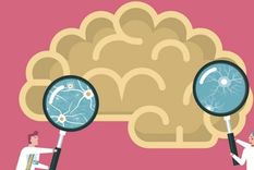 En nuestro tejido nervioso conviven billones y billones de células gliales. Foto: GETTY IMAGES