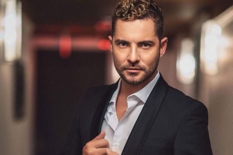 David Bisbal cierra el año 2023 con grandes proyectos Foto: David Bisbal / Instagram