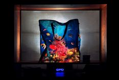 Foto: danielrueda.com.ar