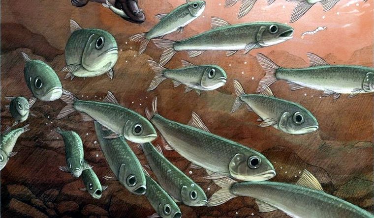 Escena recreada del antiguo billabong en McGraths Flat. Foto: Dpa.