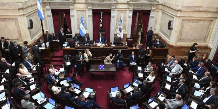 Sesión Pública Especial en el recinto del Senado de la Nacin, en Buenos Aires, Argentina, el 13 de diciembre de 2023. Foto: Fotos:Luciano Ingaramo /Comunicación Senado