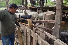 Andrés Durán alimentando a sus animales de granja.