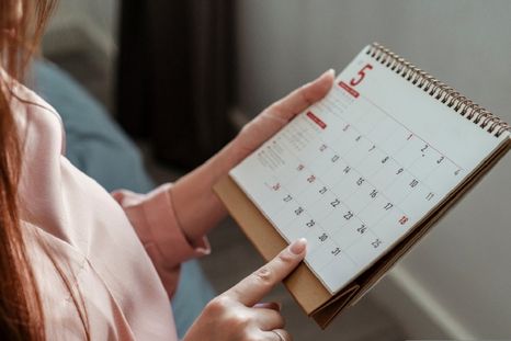 Cuáles son los feriados que quedan en 2024 Foto: Shutterstock