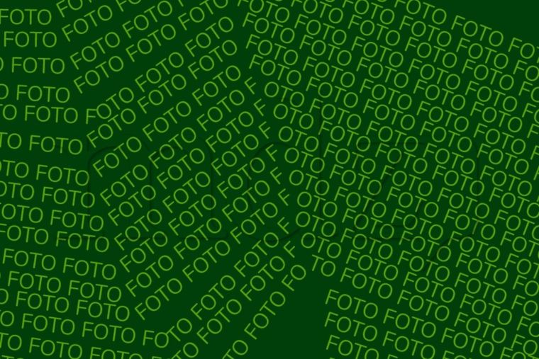 Acertijo visual Acertijo visual, Reto visual, palabra Foto: MDZ Online