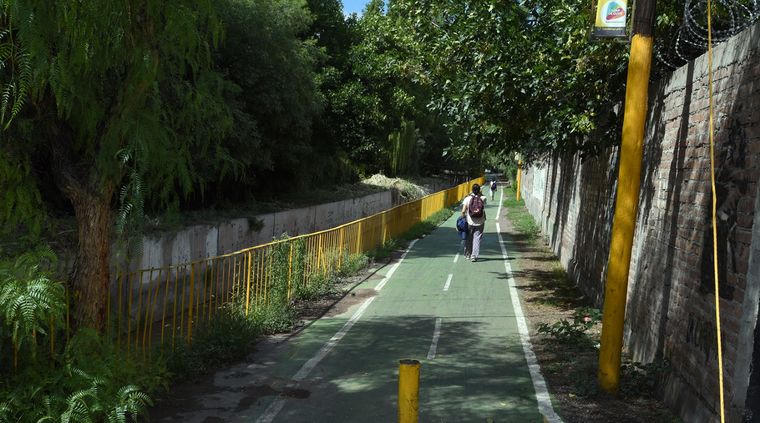 Lograron modificar el trazado de la ruta para no afectar árboles y calles icónicas de este lugar. Foto: ALF PONCE MERCADO / MDZ