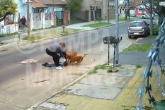 La mujer sufrió un feroz ataque en la localidad bonaerense de San Martín.