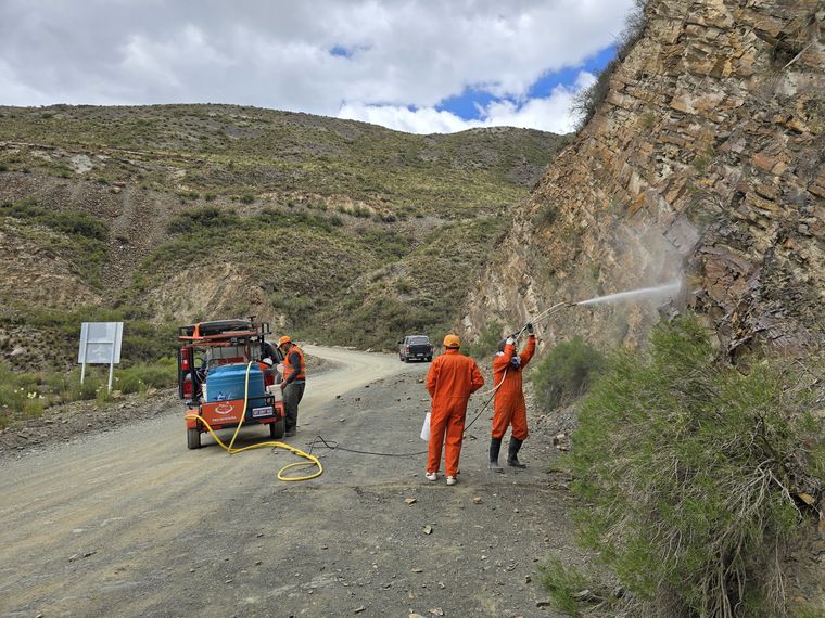 “Fue la tarea más pesada que hicimos hasta ahora”, reconoció Mellimaci sobre el trabajo en Villavicencio. “Fue la tarea más pesada que hicimos hasta ahora”, reconoció Mellimaci sobre el trabajo en Villavicencio.