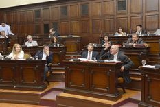 Foto: Gentileza prensa Senado