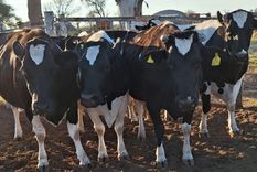 La diputada cercana a Juan Grabois es el centro de todas las críticas.