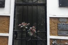 Foto: Gentileza
