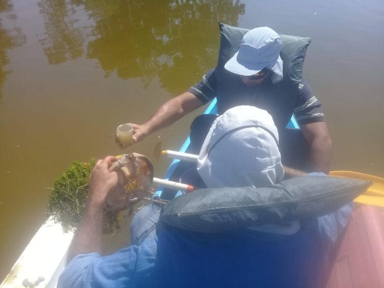 Irrigación tomó muestra del agua de la laguna El Viborón y comunicó los resultados del análisis Foto: Prensa Irrigación