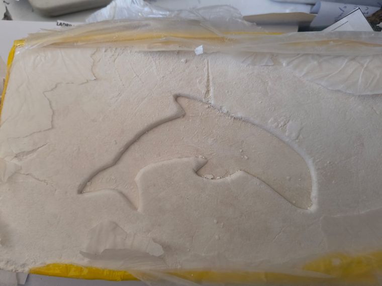 Uno de los ladrillos de cocaína encontrados. Foto: Ministerio de Seguridad.