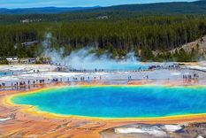 turista intenta cocinar pollos en aguas termales de un parque nacional y esto sucede