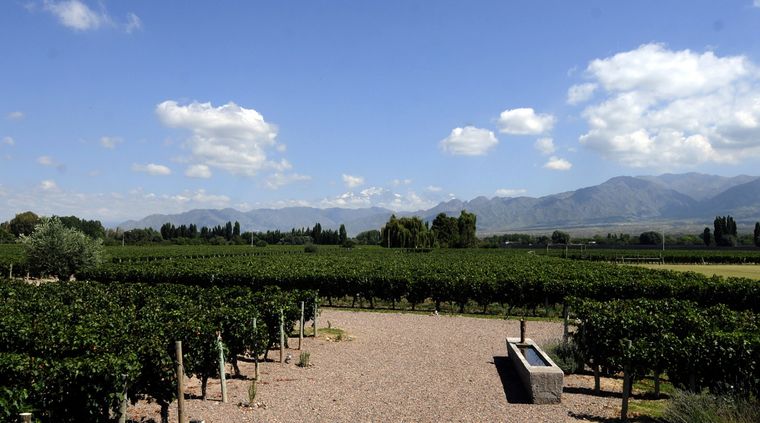 Foto: ALF PONCE MERCADO / MDZ