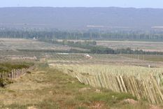 Foto: Alf Ponce / MDZ