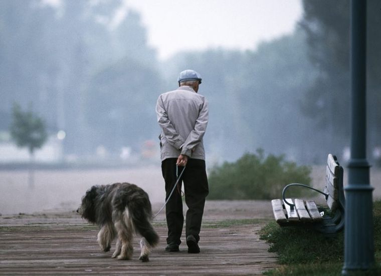 Compañeros El hombre tenía una extraña relación con el can.