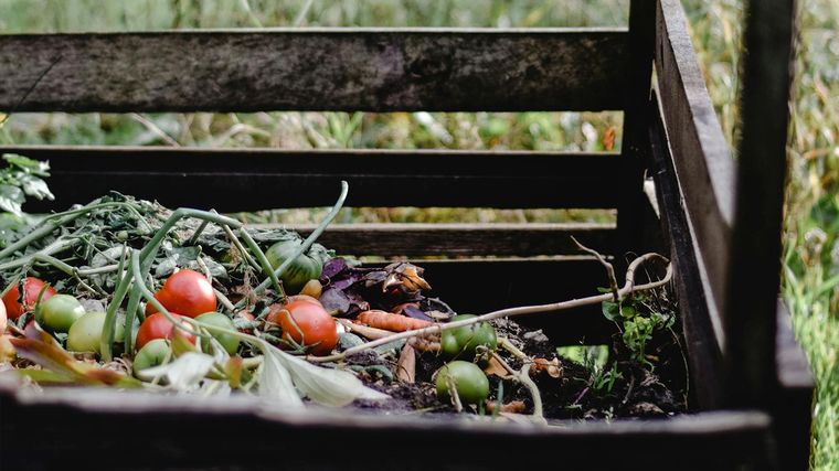 Compost sin problemas: cómo evitar malos olores y residuos peligrosos. Foto: Pexels.