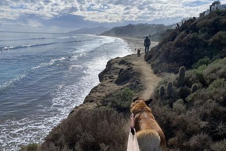 El inciden se registró en la playa Marbella de Valparaíso
