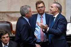 Hacemos Coalición Federal planteó sus diferencias con la ley ómnibus Foto: Télam Hacemos Coalición Federal planteó sus diferencias con la ley ómnibus Foto: Télam