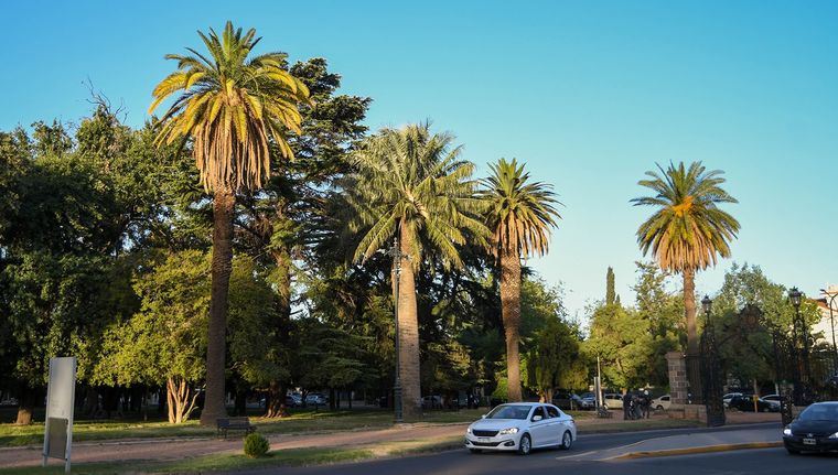 Domingo estable en Mendoza, con mínima de 3° y máxima de 19° con cielo despejado. 