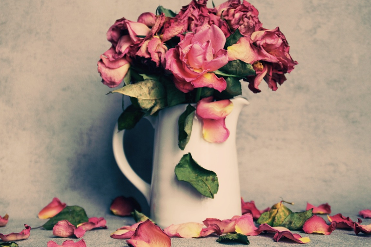 Estos son los mejores tips si quieres decorar con flores secas. Foto: Pixabay - pixabay.com