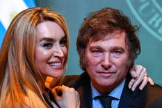 moskita muerta: la separacion de javier milei y la salida de doman de america