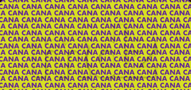 El acertijo visual de hoy es uno de las difíciles de resolver Foto: Archivo MDZ