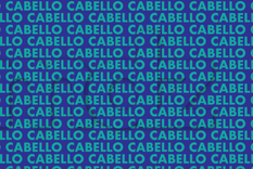 ACERTIJO VISUAL ACERTIJO VISUAL, RETO VISUAL, PALABRA Foto: MDZ ONLINE