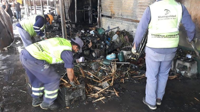 Quisieron hacer humo para espantar las abejas y terminaron quemando la casa y dos autos