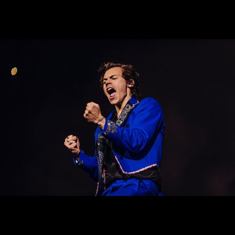 Harry Styles inició su carrera como cantante en One Direction.