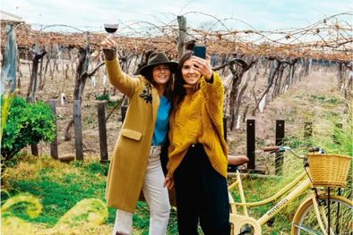 MDZol | Foto: Foto: screenshot @wineobs_arg