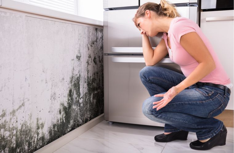 Foto: shutterstock