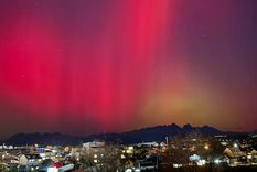 Foto: Twitter Foto: Twitter