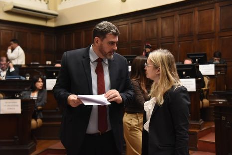 El senador Martín Kerchner y la vicegobernadora y titular del Senado, Hebe Casado. Foto: Prensa Legislatura de Mendoza El senador Martín Kerchner y la vicegobernadora y titular del Senado, Hebe Casado. Foto: Prensa Legislatura de Mendoza