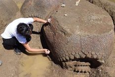 Trabajo de campo Los científicos estudian el lugar desde hace un tiempo.