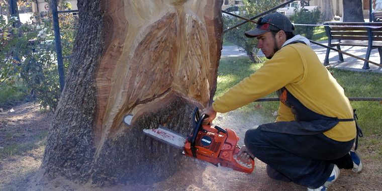 Foto: Ariel Jalley/Mediamza.com