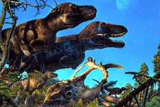 Los dinosaurios fueron parte de una extinción masiva. Foto: Dpa.