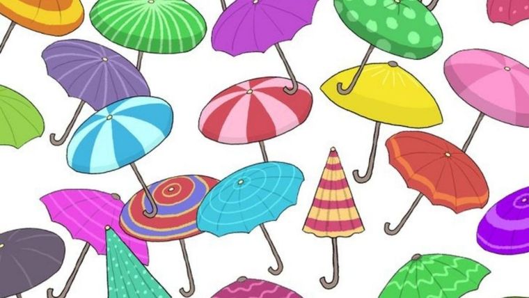 ACERTIJO VISUAL ACERTIJO VISUAL, RETO VISUAL, PARAGUA Foto: ARCHIVO