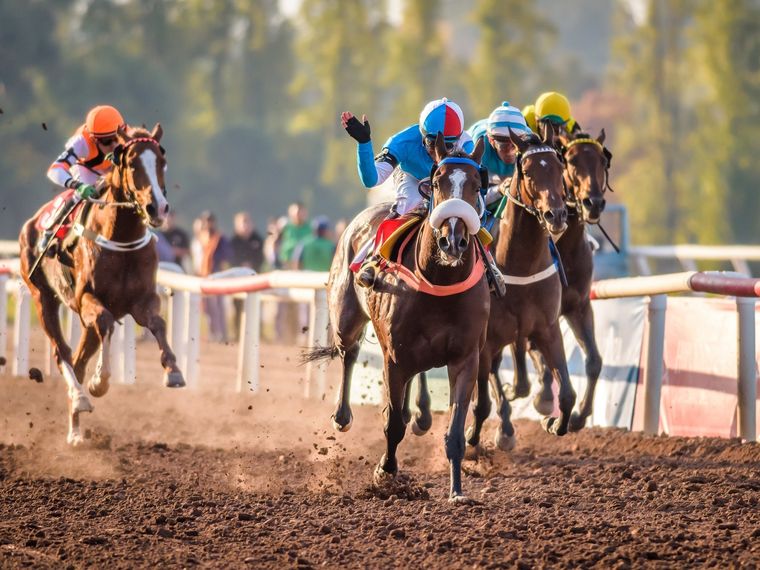 Ultra Famoso defenderá nuestro voto en la prueba central de la reunión Foto: Gentileza José Maluf.