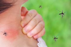 el mismo dia, aparecen en china un caso de dengue y uno de peste bubonica