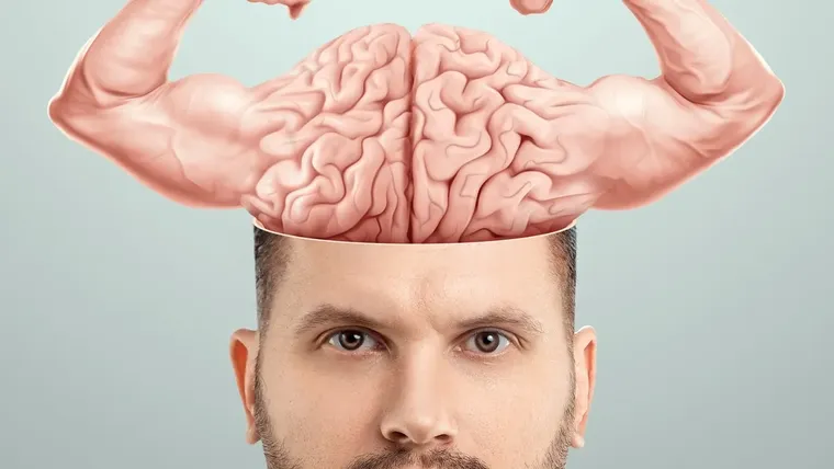 El cerebro es el órgano que coordina cada una de las funciones de nuestro cuerpo: el movimiento, la memoria, el lenguaje, las emociones y el pensamiento.