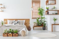 Foto: Buena Vibra - https://cdn.buenavibra.es/wp-content/uploads/2019/04/23214944/bigstock-decoracion-de-interiores-con-plantas-e1556067052692.jpg