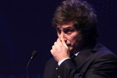 Javier Milei habló sobre su relación con Fátima Florez Foto: Télam