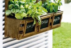 todos podemos tener una huerta en casa