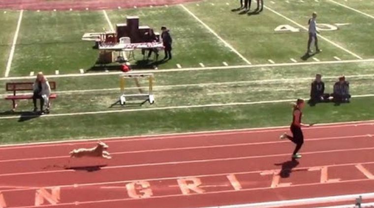 Foto: Captura de pantalla