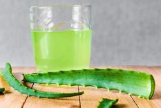 Remedio casero para calmar la tos preparado con aloe vera, miel y aceite de oliva. Foto: Mejor con Salud