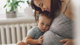 La investigación también muestra que los cambios en las redes neuronales son fundamentales para enfrentar la maternidad.