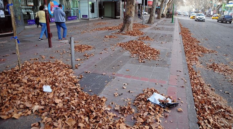 La temperatura máxima será de 36º