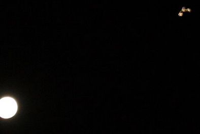 MDZol | Esta es la imagen que revolucionó los medios.